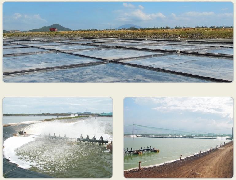 Ứng dụng của màng HDPE trong ứng nuôi trồng thủy sản